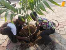 La Terre des Jeunes Togo marque le plus grand boulevard de la Capitale 