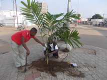 La Terre des Jeunes Togo marque le plus grand boulevard de la Capitale 