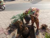 La Terre des Jeunes Togo marque le plus grand boulevard de la Capitale 