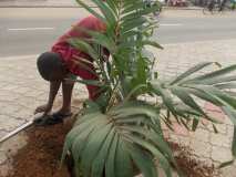 La Terre des Jeunes Togo marque le plus grand boulevard de la Capitale 