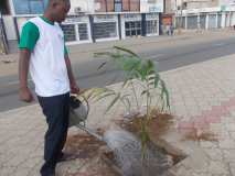 La Terre des Jeunes Togo marque le plus grand boulevard de la Capitale 