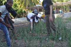 Plantations avec l'appui de UNWG Charity et du Collège Sainte-Anne