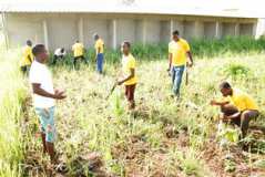 ECOLO ECOLE dans les Régions du TOGO 