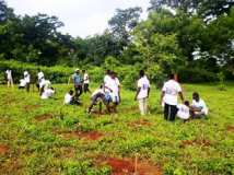 ECOLO ECOLE dans les Régions du TOGO 