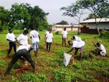 ECOLO ECOLE dans les Régions du TOGO 