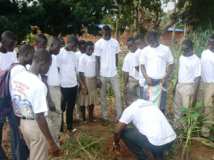 ECOLO ECOLE dans les Régions du TOGO 