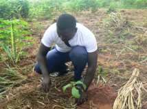 ECOLO ECOLE dans les Régions du TOGO 