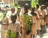 Aperçu de celebration de la journee Mondiale de l'environnement à Gros-Morne (Haïti)