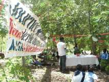 Encore des images de la Fête de l'arbre à Gros-Morne, 5 juin 2010 (2)