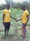 ECOLO ECOLE dans les Régions du TOGO 