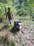 Plantation d'arbres à Gros-Morne en collaboration avec MyTree