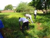 Deux activités importantes de reboisement au Burkina Faso