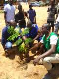 Deux activités importantes de reboisement au Burkina Faso