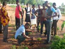 TDJ-Sud Benin: Journee de l'arbre au BENIN 