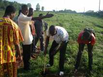 TDJ-Sud Benin: Journee de l'arbre au BENIN 