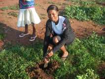 TDJ-Sud Benin: Journee de l'arbre au BENIN 
