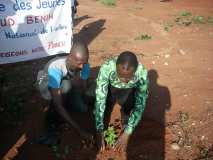 TDJ-Sud Benin: Journee de l'arbre au BENIN 