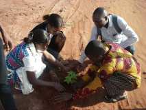 TDJ-Sud Benin: Journee de l'arbre au BENIN 