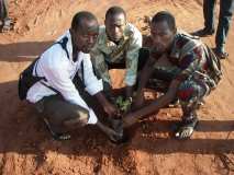 TDJ-Sud Benin: Journee de l'arbre au BENIN 