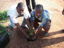 TDJ-Sud Benin: Journee de l'arbre au BENIN 