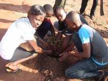 TDJ-Sud Benin: Journee de l'arbre au BENIN 