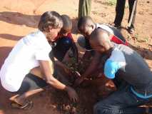 TDJ-Sud Benin: Journee de l'arbre au BENIN 