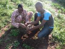 TDJ-Sud Benin: Journee de l'arbre au BENIN 