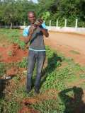 TDJ-Sud Benin: Journee de l'arbre au BENIN 