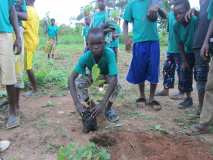 Journée Nationale de l'arbre JNA 2015 étape de KETOU