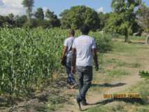 La sécheresse fait des ravages chez les agriculteurs - Besoin de matériel agricole