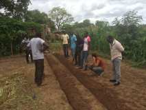Deux activités autour de la permaculture au Burkina Faso