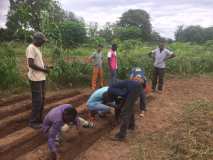 Deux activités autour de la permaculture au Burkina Faso