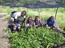 Compte-rendu sur les 600 arbres plantés à Gros-Morne avec la collaboration de My Tree