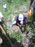 Compte-rendu sur les 600 arbres plantés à Gros-Morne avec la collaboration de My Tree