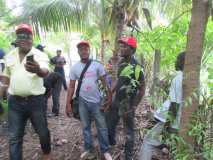 Collaboration entre Terre des jeunes Gonaïves et Gros-Morne pour la Fête de l'arbre 2016