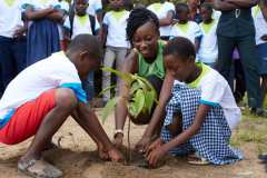 Bienvenue dans la section Terre des jeunes Côte d'Ivoire