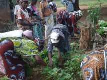 Action avec les femmes rurales pour la production biologiques.