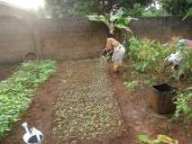 Action avec les femmes rurales pour la production biologiques.