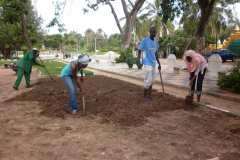 Activité de réaménagement du Parc