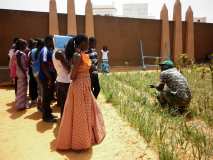 Formation théorique et pratique sur les techniques de production des plants