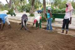 Activité de réaménagement du Parc