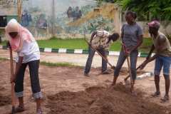 Activité de réaménagement du Parc