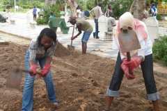 Activité de réaménagement du Parc