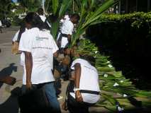 TDJ Togo souligne le 1er Juin, Journée de l’arbre au TOGO