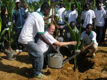 TDJ Togo souligne le 1er Juin, Journée de l’arbre au TOGO