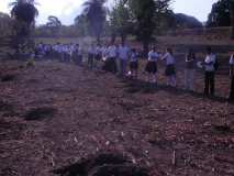 Moyogalpa, Nicaragua: Fiesta del árbol 2011