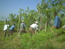 koumbit pour sécuriser les accès à la forêt commune