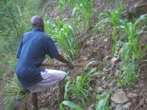 Plantation pour la Journée mondiale de l'environnement