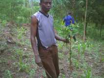 Plantation pour la Journée mondiale de l'environnement