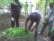 Journée mondiale de l'environnement dans la commune de Gros-Morne